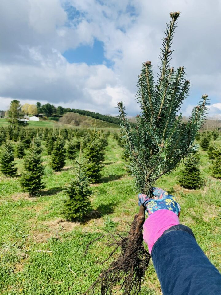 524191138_1164032305758407_5988777616698876166_n